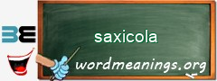 WordMeaning blackboard for saxicola